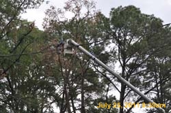 Entergy 093